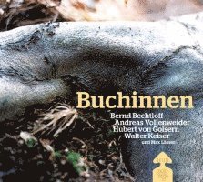 Buchinnen 1