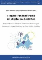 Arthur Hartmann, Niclas-Frederic Weisser - Illegale Finanzströme im digitalen Zeitalter, Häftad