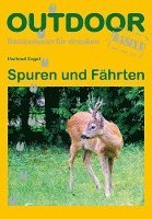 bokomslag Spuren und Fährten