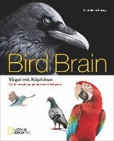 bokomslag Bird Brain