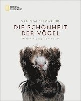 bokomslag National Geographic Die Schönheit der Vögel