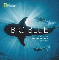 Big Blue 1