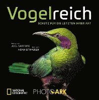 bokomslag Vogelreich