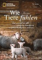 bokomslag Wie Tiere fühlen