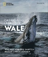 bokomslag Das geheime Leben der Wale