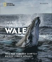 Das geheime Leben der Wale 1