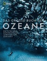 bokomslag Das große Buch der OZEANE