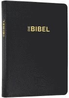 bokomslag Schlachter 2000 Bibel - Schreibrandausgabe (flexibler Leder-Umschlag, schwarz)