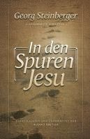 bokomslag In den Spuren Jesu