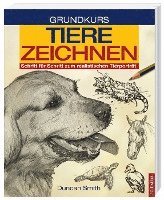 Grundkurs Tiere Zeichnen 1