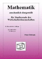 bokomslag Mathematik - anschaulich dargestellt - für Studierende der Wirtschaftswissenschaften