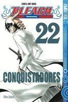 bokomslag Bleach 22