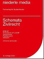 bokomslag Schemata Zivilrecht. Karteikarten