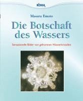 bokomslag Die Botschaft des Wassers