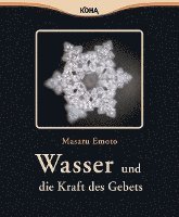 bokomslag Wasser und die Kraft des Gebets