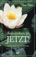 Mark Nepo - Ankommen im Jetzt!, Häftad