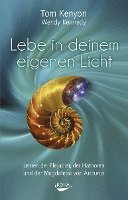 Tom Kenyon, Wendy Kennedy - Lebe in deinem eigenen Licht, Inbunden