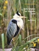 bokomslag Naturschätze im Torgauer Land