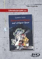 bokomslag Literaturprojekt zu 'Gespensterjäger auf eisiger Spur'