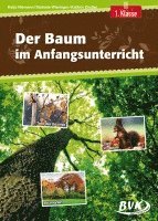 bokomslag Der Baum im Anfangsunterricht