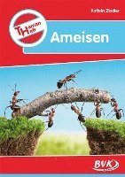 bokomslag Themenheft Ameisen