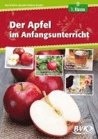 bokomslag Der Apfel im Anfangsunterricht