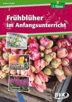 bokomslag Frühblüher im Anfangsunterricht