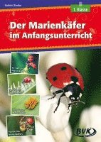 Der Marienkäfer im Anfangsunterricht 1