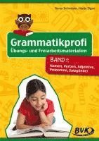 bokomslag Grammatikprofi: Übungs- und Freiarbeitsmaterialien Band 1