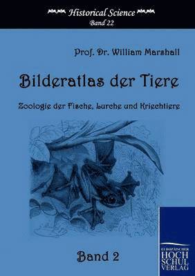 bokomslag Bilderatlas der Tiere (Band 2)