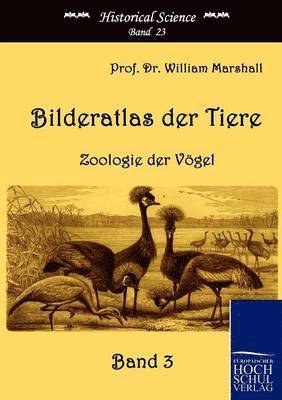 bokomslag Bilderatlas der Tiere (Band 3)