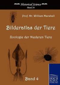 bokomslag Bilderatlas der Tiere (Band 4)