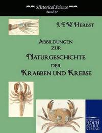 bokomslag Abbildungen zur Naturgeschichte der Krabben und Krebse