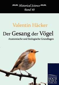 bokomslag Gesang der Vögel
