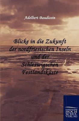 bokomslag Blicke in die Zukunft der nordfriesischen Inseln und der Schleswigschen Festlandsküste