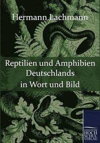 bokomslag Reptilien und Amphibien Deutschlands in Wort und Bild