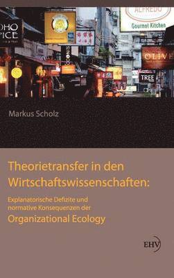 bokomslag Theorietransfer in den Wirtschaftswissenschaften