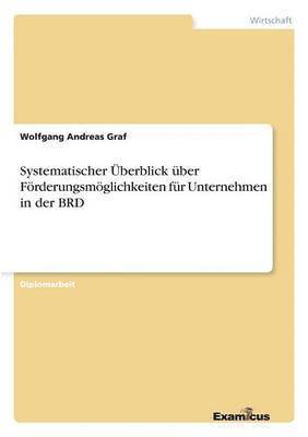 bokomslag Systematischer Überblick über Förderungsmöglichkeiten für Unternehmen in der BRD