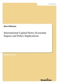 bokomslag International Capital Flows