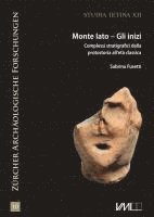 bokomslag Monte Iato - Gli inizi