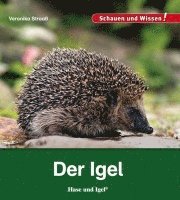 bokomslag Der Igel