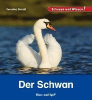 bokomslag Der Schwan