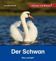 Der Schwan 1