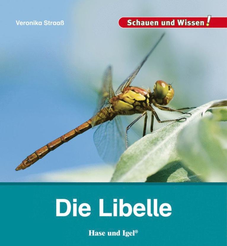 Veronika Straaß - Die Libelle, Inbunden