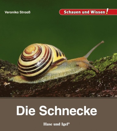 bokomslag Die Schnecke