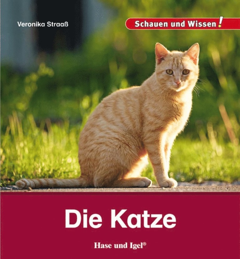 Die Katze 1