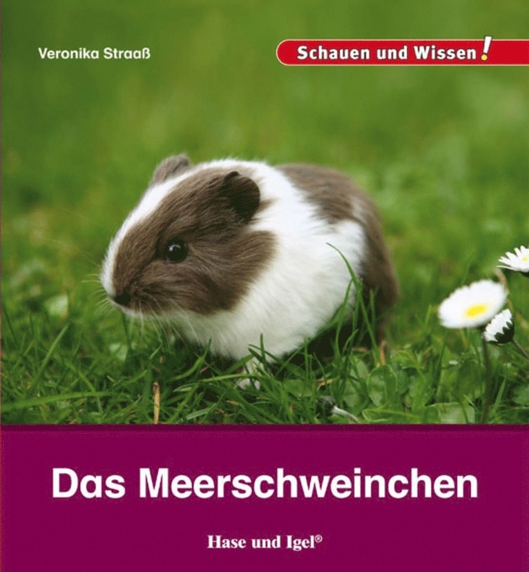 Das Meerschweinchen 1