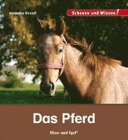 bokomslag Das Pferd