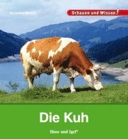 Die Kuh 1