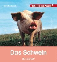 bokomslag Das Schwein